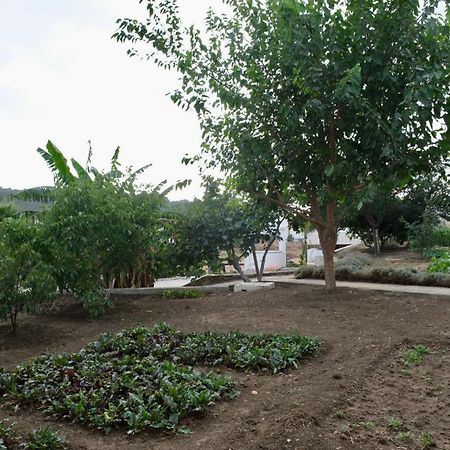 Jnane Yemma Hotel Daidatz Exterior photo