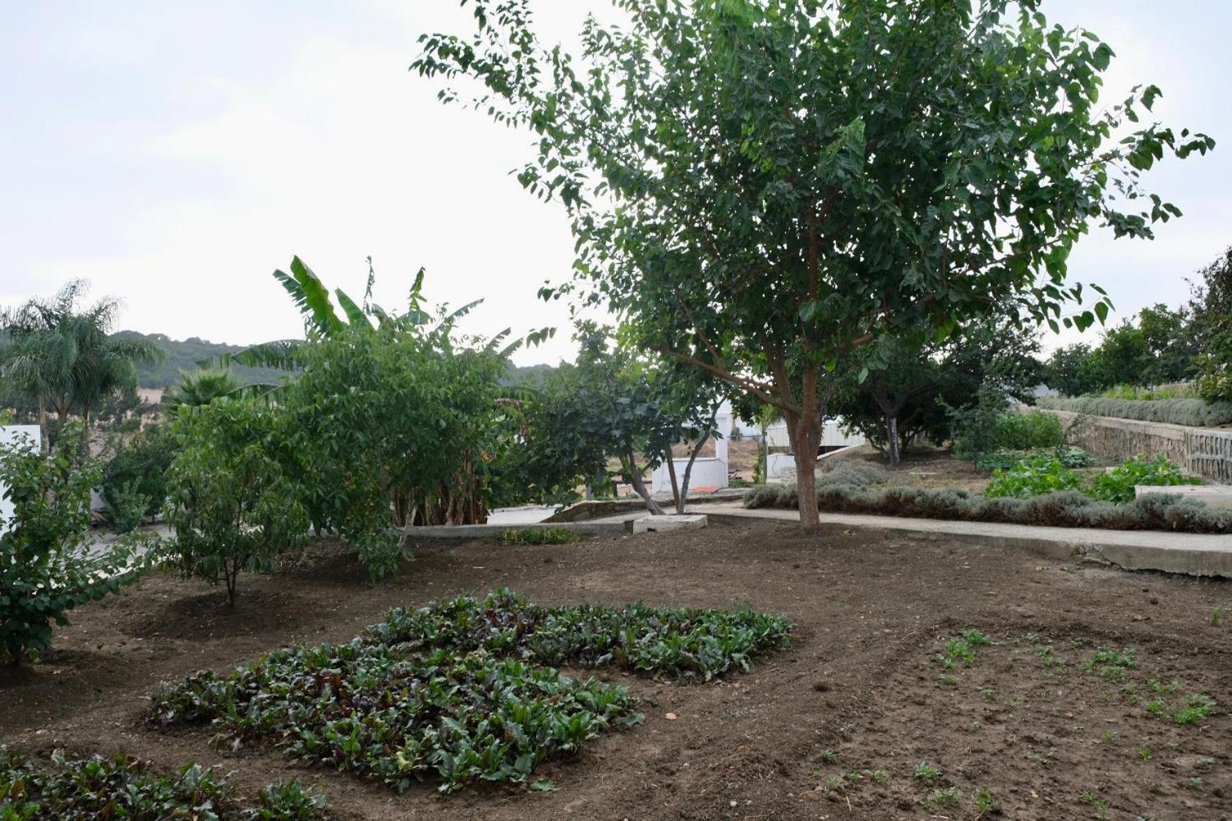Jnane Yemma Hotel Tangier Exterior photo